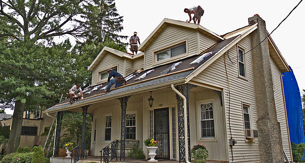 Roof Gutter Cleaning in Middletown, VA